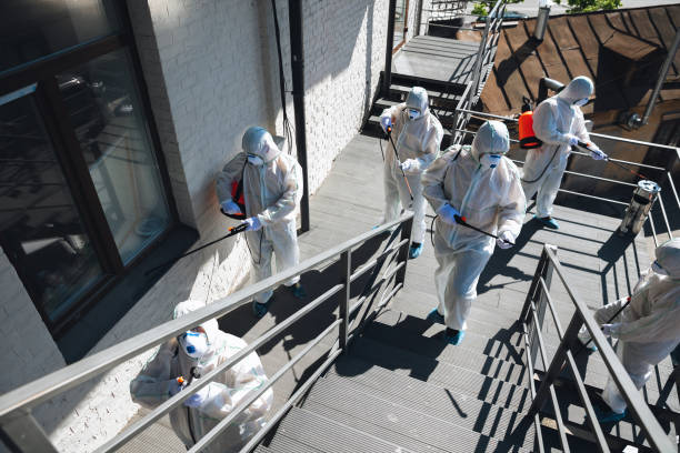 Trusted Derby, CO Mold Removal Experts