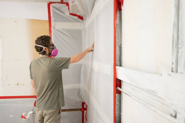 Best Attic Mold Removal  in Derby, CO