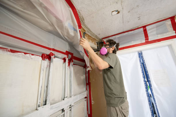 Best Real Estate Mold Inspection  in Derby, CO