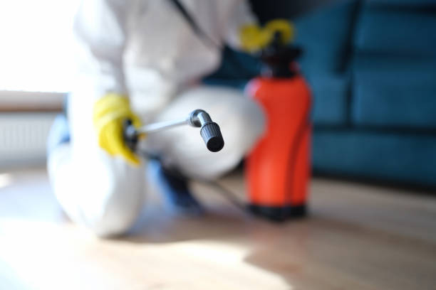 Best Emergency Mold Remediation  in Derby, CO