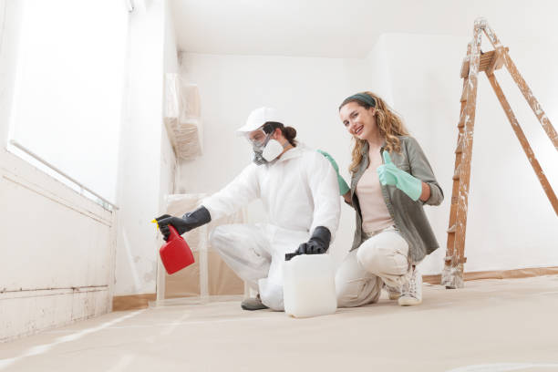 Mold Removal for HVAC Installations