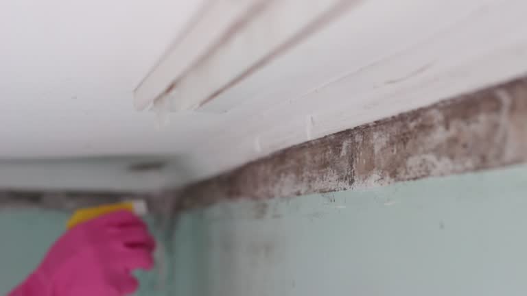 Best Post-Remediation Verification Testing  in Derby, CO